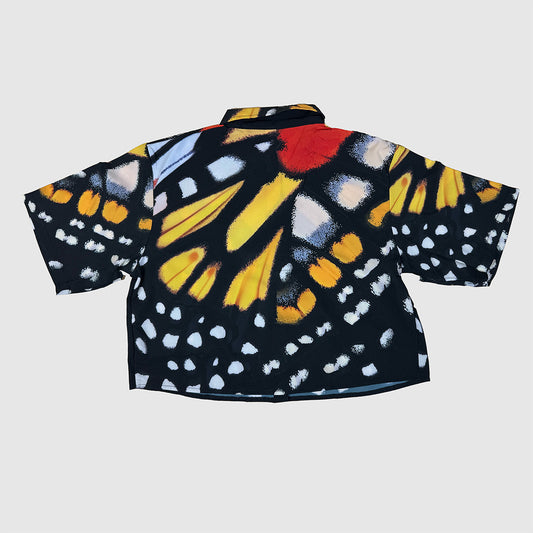 Monarch Alta
