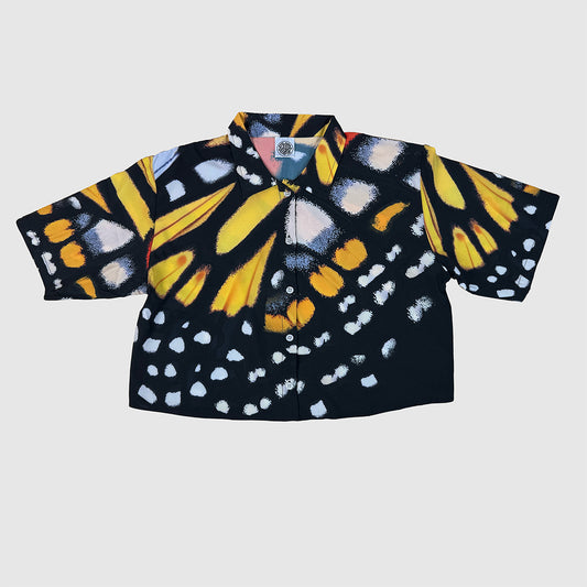Monarch Alta