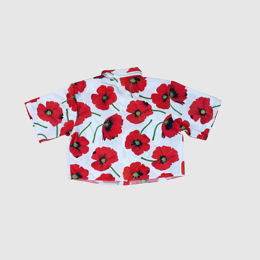 Red Poppies Alta